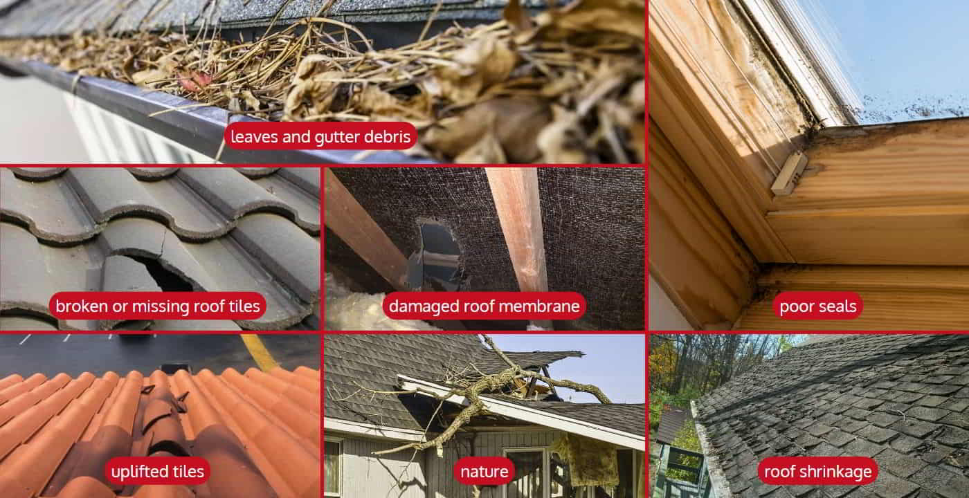 causes of roof leakage